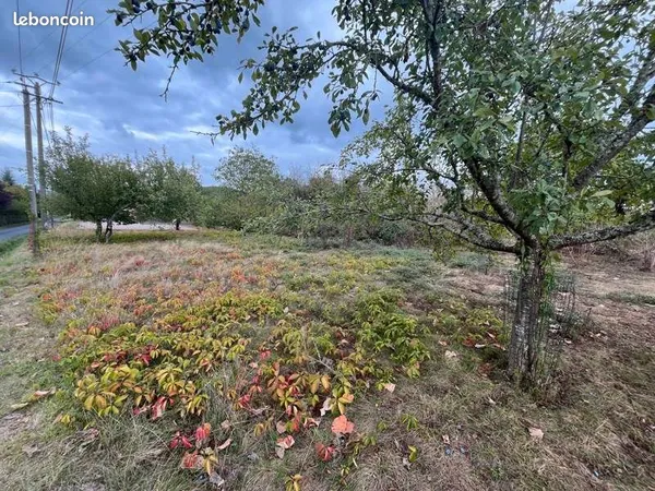 Terrain 1 033 m² Anglars Juillac