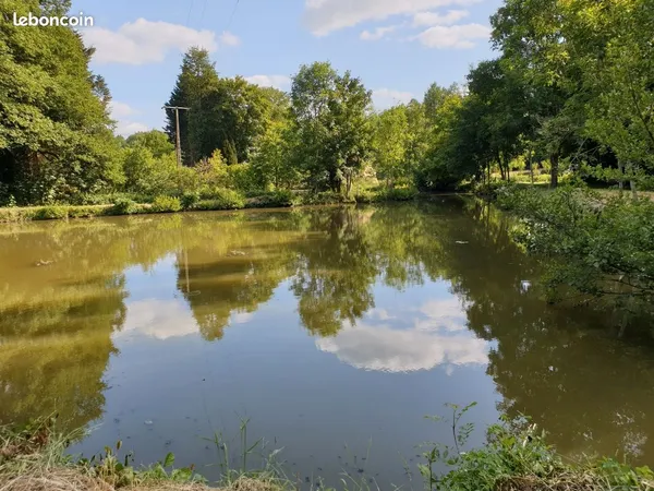 Étang avec bois et pré à montreuil le henri