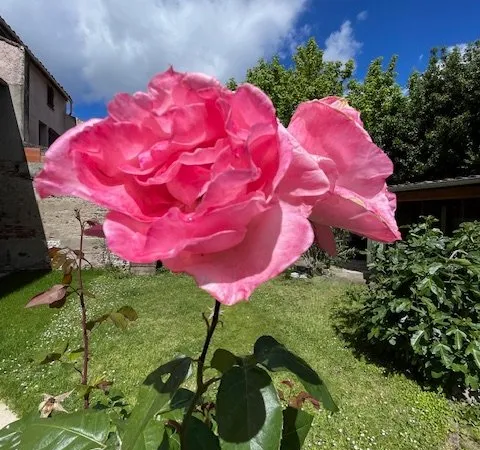 Toulouse 31300 - Entre Patte d'Oie, Bourrassol et la Cartoucherie - Grand duplex Jardin, garage 6 ch