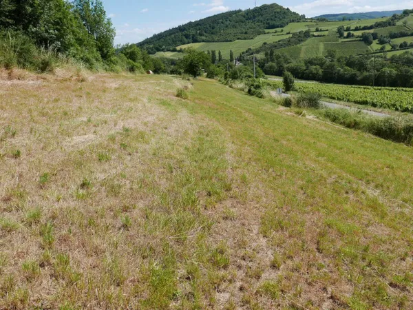 Terrain 3475 m²