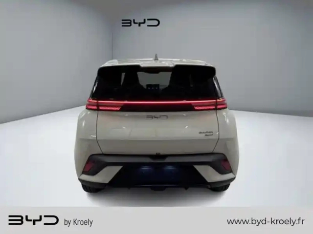 Byd Dolphin surf comfort 115 kw — photo 4