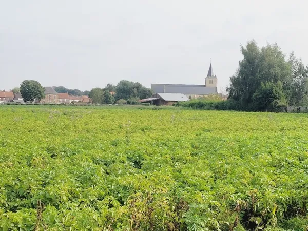 Terrain 430 m²
