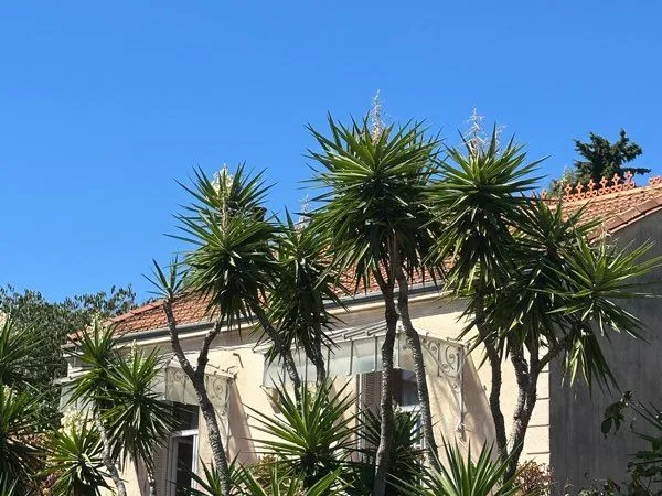 Maison à rénover