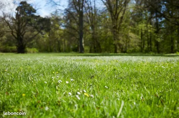 Terrain 600 m² Fletre
