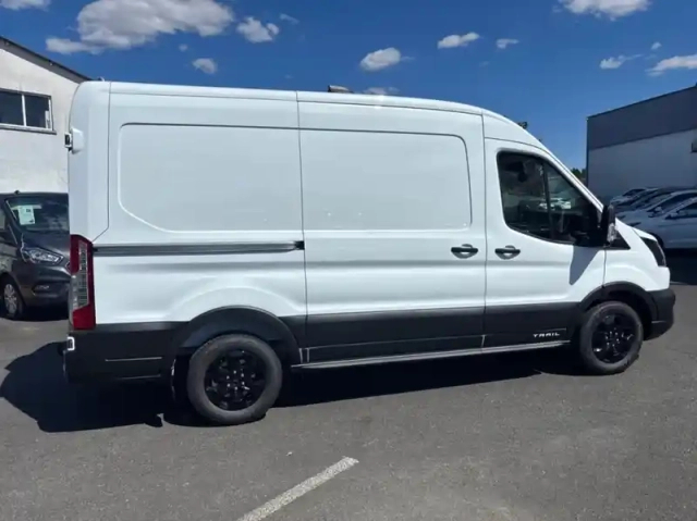 Ford Transit fourgon fg t310 l2h2 2.0 ecoblue 130ch trend — photo 26