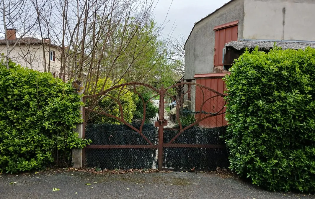 Photo 3