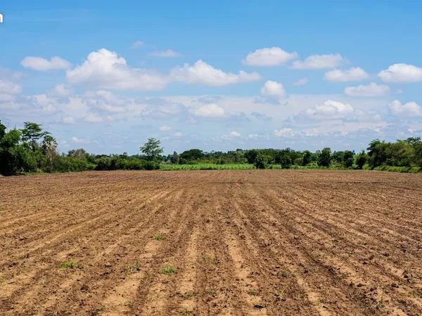Terrain 300 m² Tourmignies