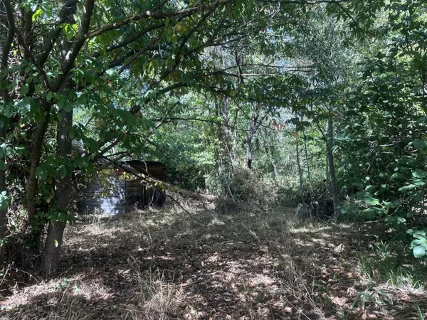 Terrain en individuel 3755 m²