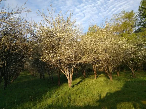 petite propriété agricole dans le ségala lotois