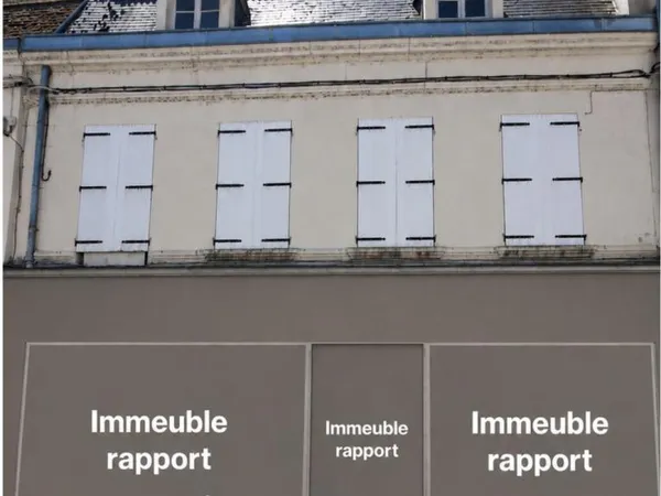 Immeuble Cosne-sur-loire 4 pièce(s) 193 m2