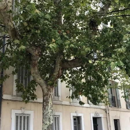 Appartement T2