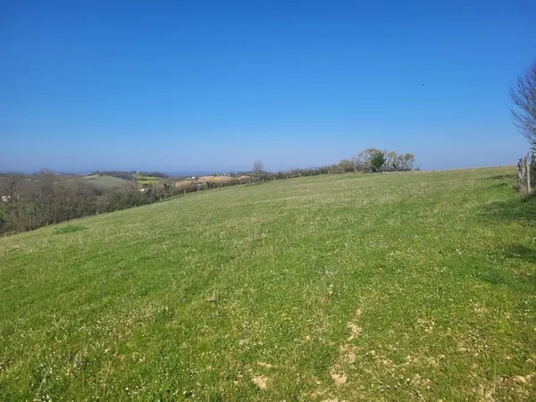 Terrain agricole