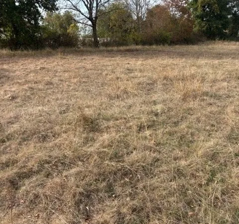 Terrain 1 257 m² Paray Le Monial