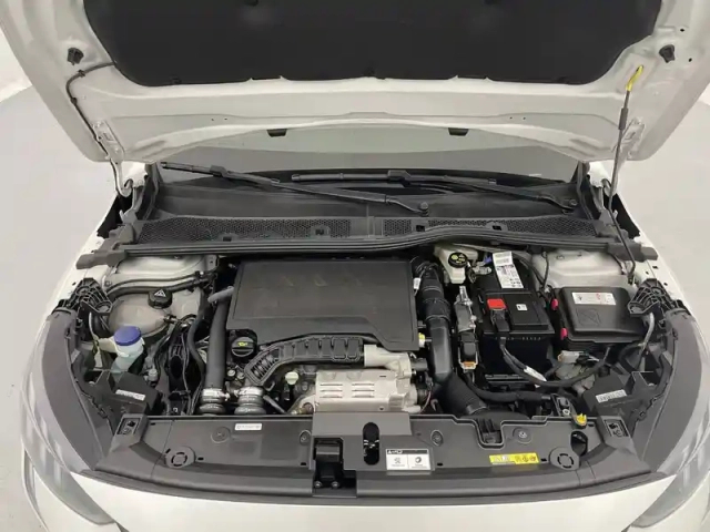 Peugeot 208 puretech 100 s&amp;s eat8 — photo 21