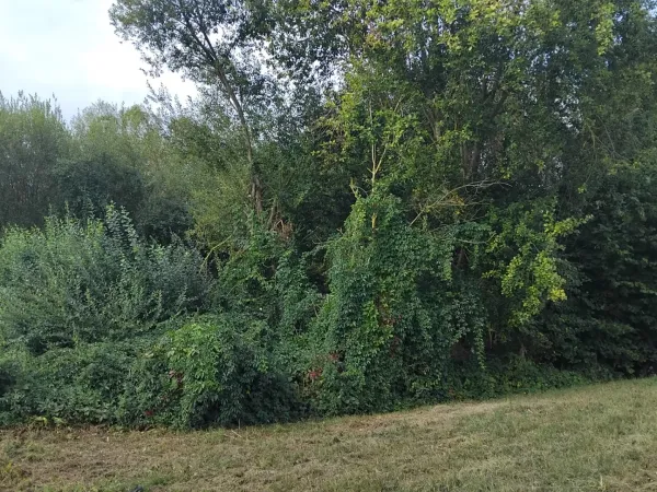 Terrain 1000 m²