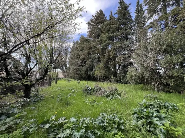 Terrain à bâtir 893 m²
