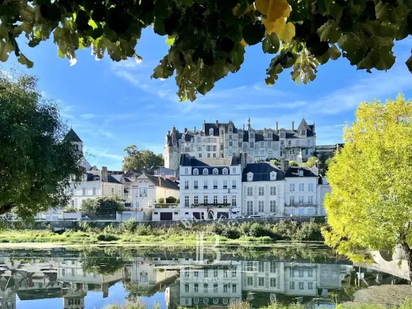 Hôtel particulier 13 pièces 475 m²