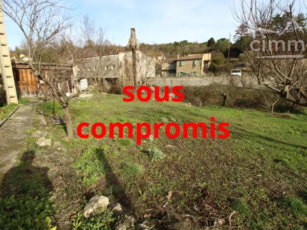 A vendre une grande maison de village avec un jardin et des annexes
