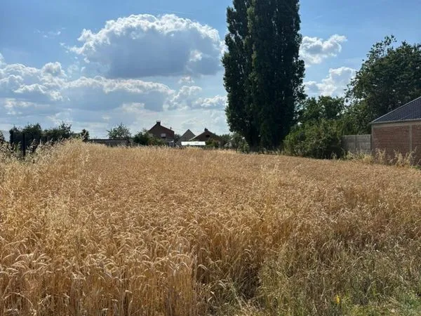 Terrain 1991 m² VILLERS OUTREAUX