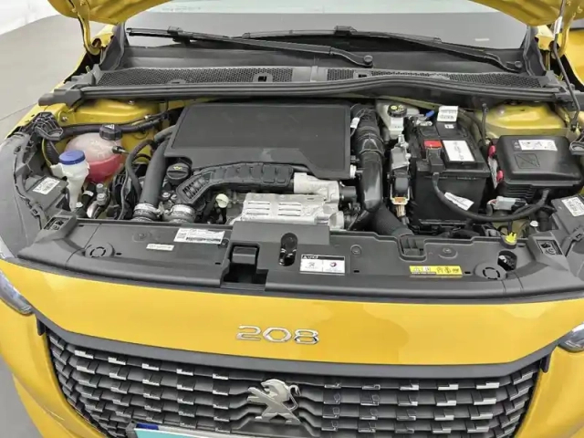 Peugeot 208 puretech 100 s&amp;s eat8 — photo 59