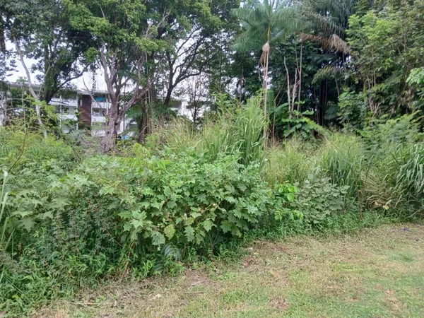 TERRAIN A BATIR CHEMIN ST ANTOINE CAYENNE