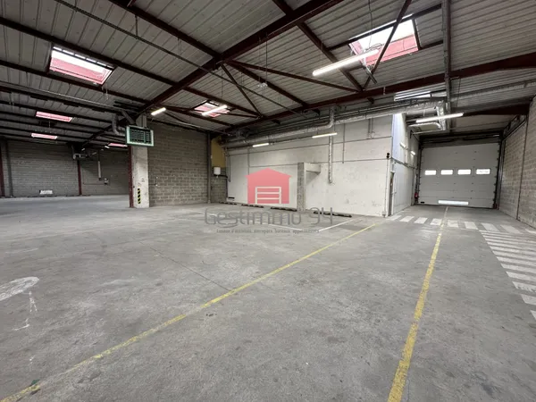 Local commercial 1730 m²