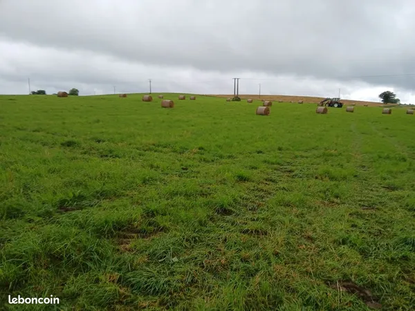 Terrain constructible