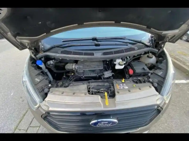 Ford Custom transit  fg 320 l1h1 2.0 ecoblue 185 s&amp;s cabine approfondie sport bva6 7cv — photo 15