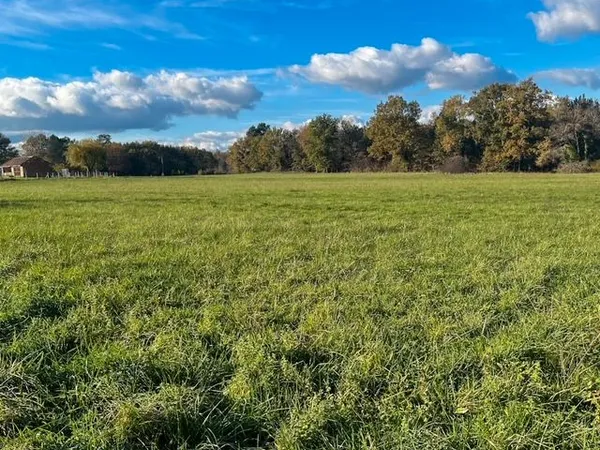 Terrain 22 871 m² Saint Remy