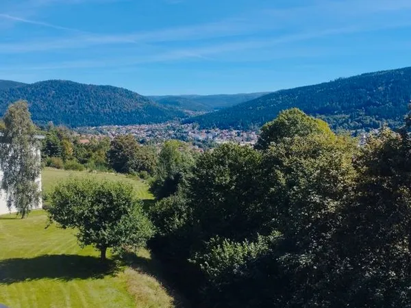 Appartement meublé 53 m² - 2 balcons - Parking - Gérardmer