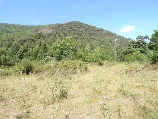 Terrain 2348 m²