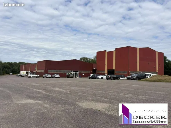 Local 4000 m² Steinbourg