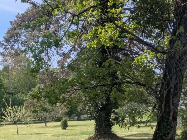 Terrain 1072 m²