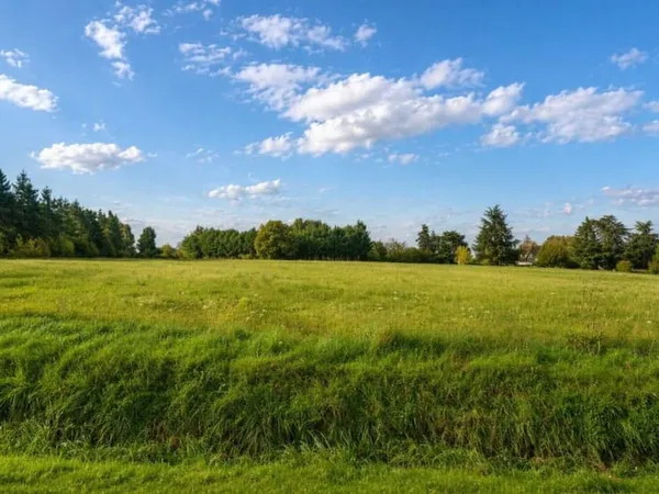 Terrain 331 m²