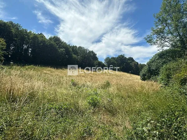 Terrain 11049 m²