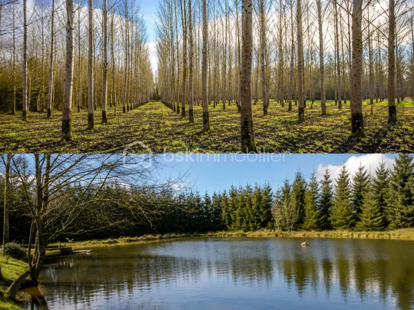 Terrain 18750 m²