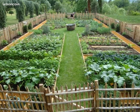 Potager 100 m2