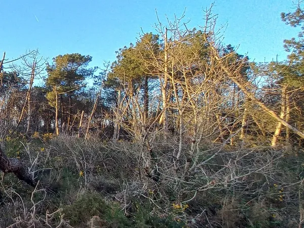 Terrain agricole de 1000 m2