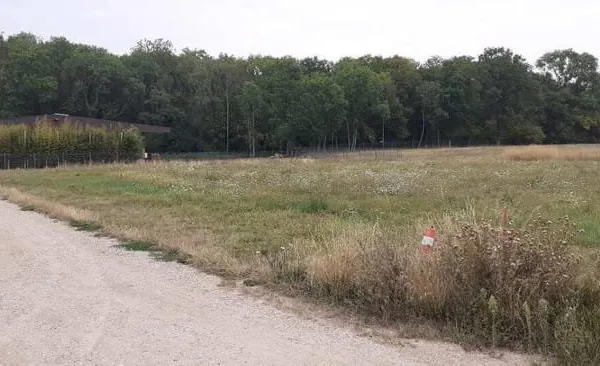 Terrain à bâtir au coeur du massif de Saint Thierry en proximité direct de Reims et des commerces