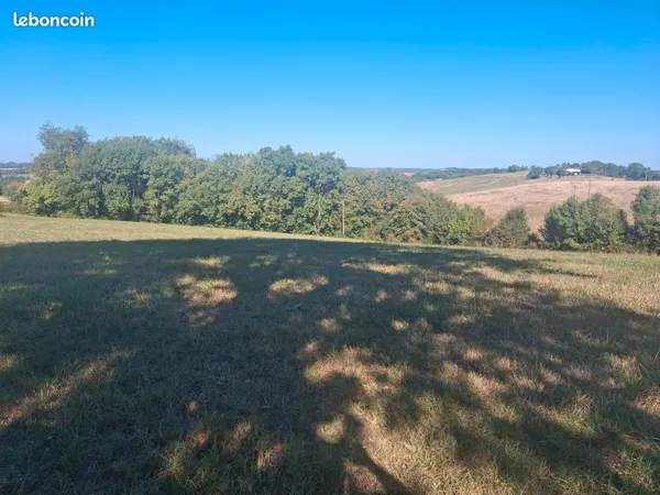Terrain avec bois