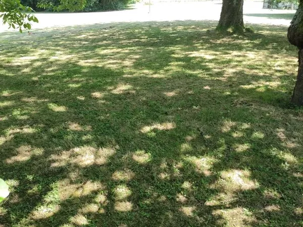 Terrain à bâtir