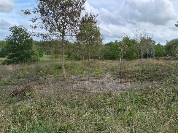 Terrain 2534 m²