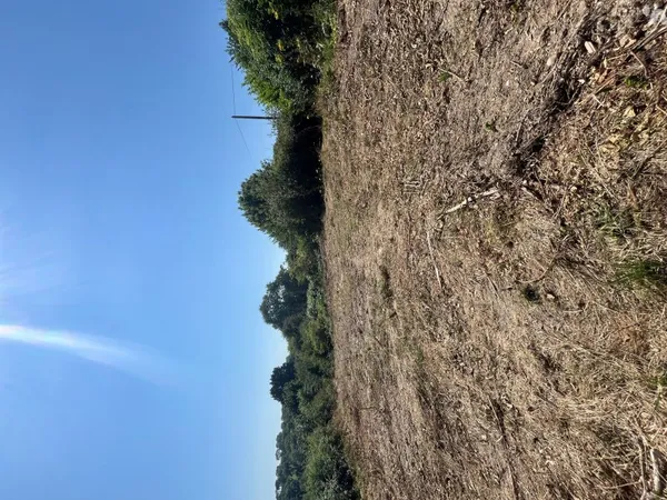 Terrain 887 m²
