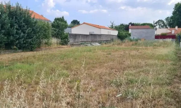 Terrain 303 m²