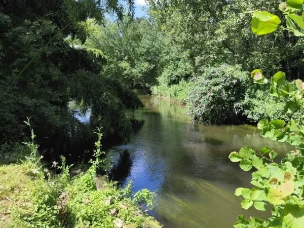 Terrain constructible 781 m²