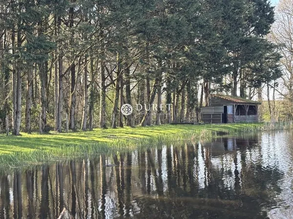 Terrain 10000 m²
