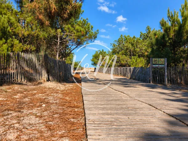 Maison à vendre Lège-Cap-Ferret