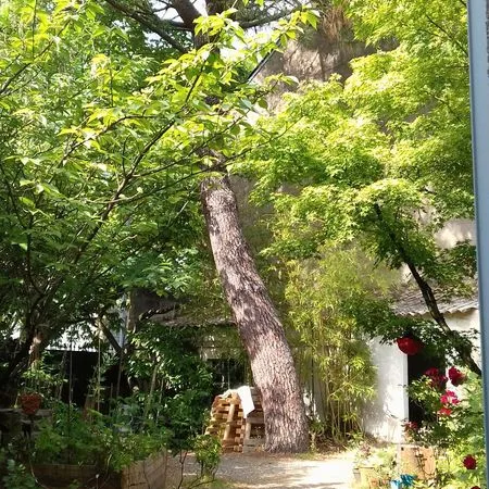 Maison Coloc Nantes