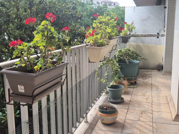 GRAND 2 PIECES AVEC BALCON FILANT