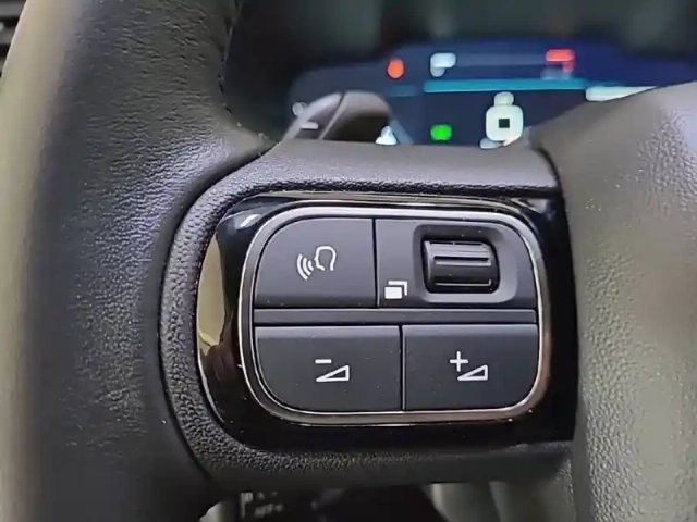 Citroën C5 Aircross bluehdi 130 eat8 — photo 27